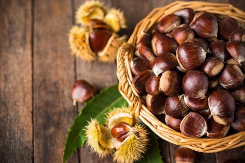 レンジで簡単な栗の茹で方と美味しい食べ方｜爆発に要注意！