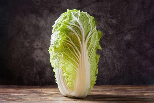 白菜を美味しく消費！飽きない料理を副菜から鍋まで紹介