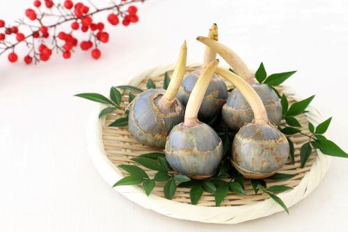 くわいの美味しい食べ方｜定番和風から中華風や洋風アレンジまで紹介