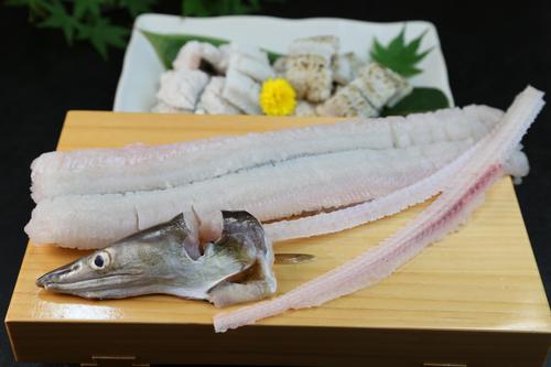 鱧の旬は夏と晩秋の2回！美味しい食べ方と調理のポイントを紹介