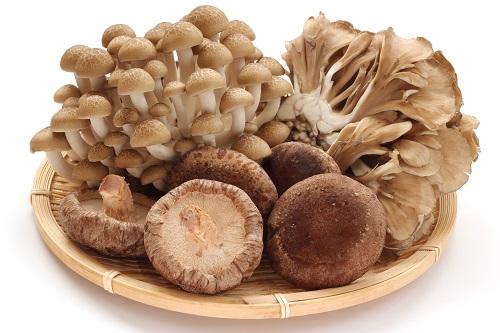 きのこはダイエット向き！体重の増加抑制効果と食べ方を解説