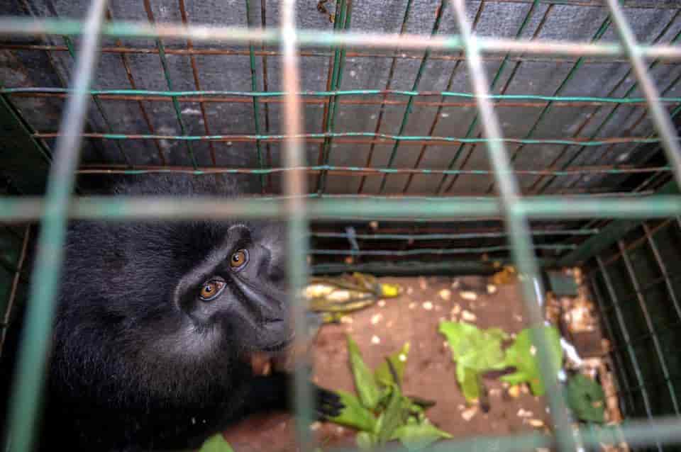 A Look at Life in Indonesia Part 1/2