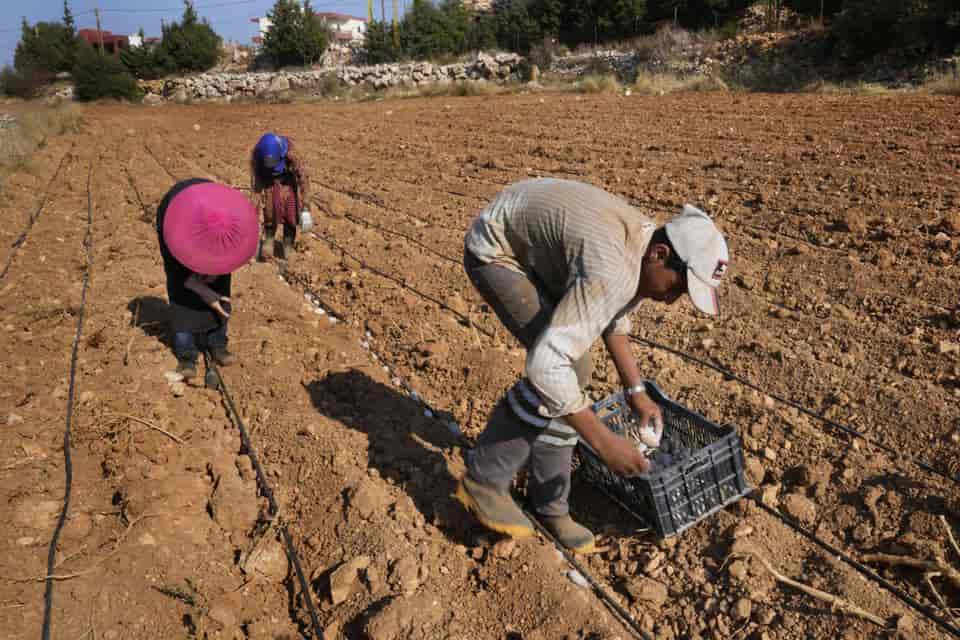 A Look at Life in Lebanon